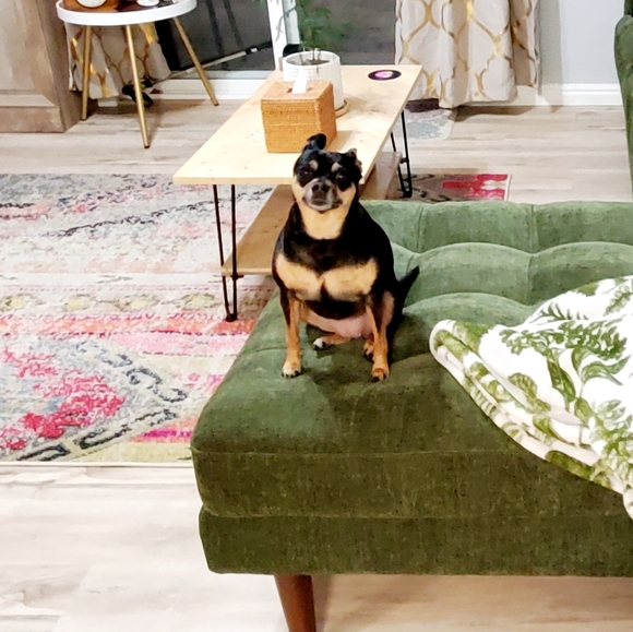 Meet your Posher, Jodi - Picture 9 of 9